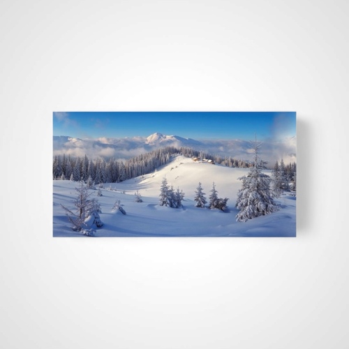 Winter Forest Cloth Backdrop XL
