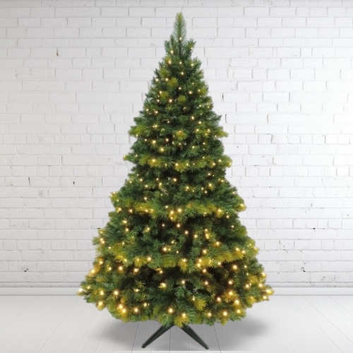 10’ Lit Oxford Spruce Christmas Tree - 900 Bulbs