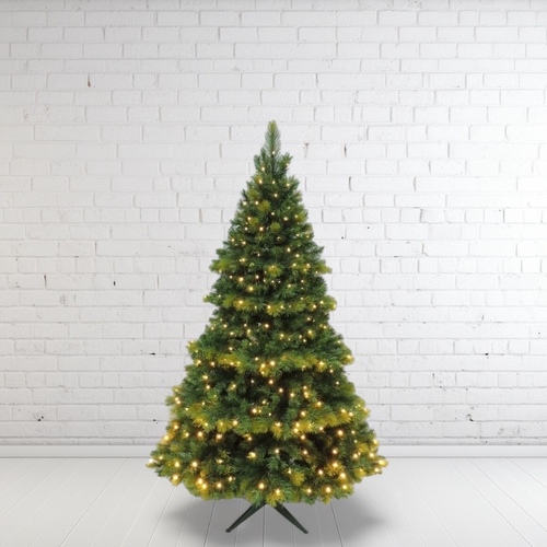 5'  Lit Oxford Spruce Christmas Tree - FREE SHIPPING
