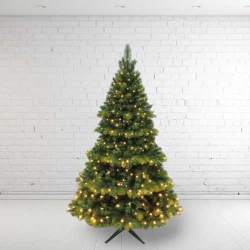  6’ Lit Oxford Spruce Christmas Tree- 350 Bulbs