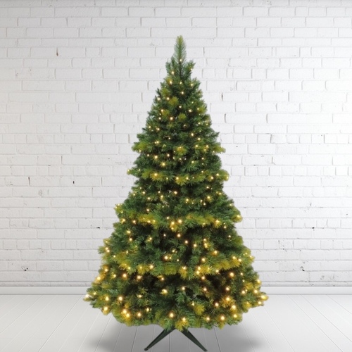 7'  Lit Oxford Spruce Christmas Tree - 450 Bulbs