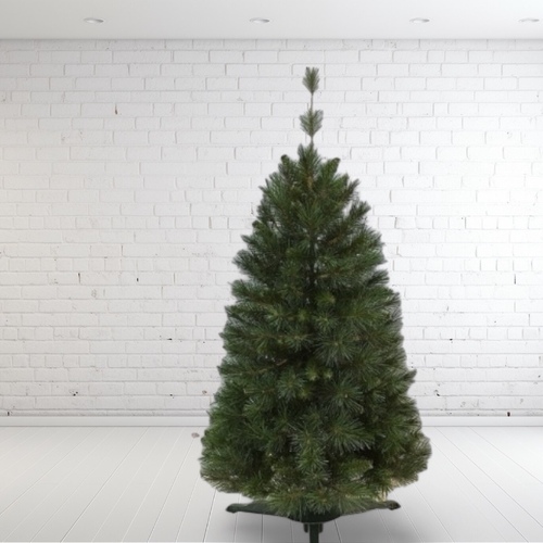 6 Foot Kingswood Fir Christmas Tree