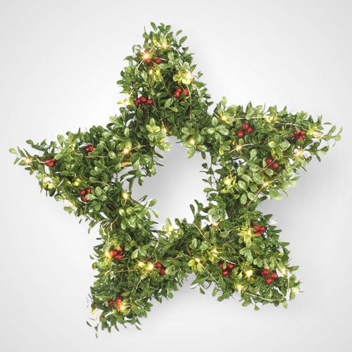 Star Buxis with Berries & Lights Wreath