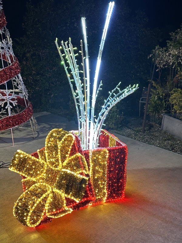 Large outdoor shop christmas tree lights