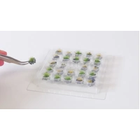 Noch 06900 Profi Grass Tufts Blossoming