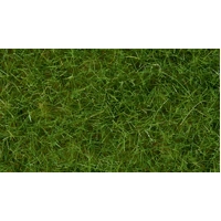 NOCH 07102 Wildgrass Light Green 6mm