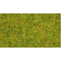 Noch 08310 Summer Grass