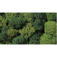 NOCH 08610 Lichen Green mix