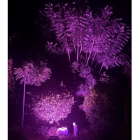 100W Purple LED Flood Light