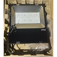 100W Green Flood Light