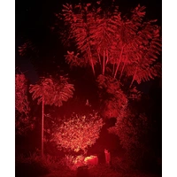 100W Red Flood Light 