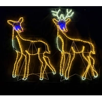 Two Reindeer Rope Light Motif 