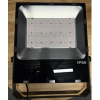 200W Red Flood Light