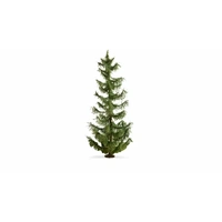 NOCH 20191 - Spruce Tree - 22cm high