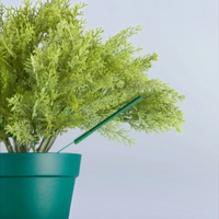 Scentsicle Green Scenter Stakes