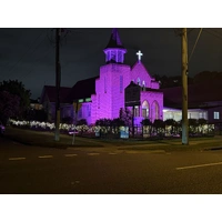 50W Purple LED Flood Light 