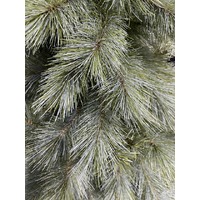 5 Foot Blue Appalachian Pine Christmas Tree