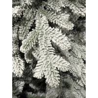 6 Foot  Austrian Spruce Snow Christmas Tree