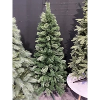 6 Foot Bellridge Spruce Christmas Tree