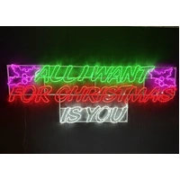 ALL I WANT FOR CHRISTMAS IS YOU Rope Light Motif