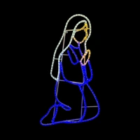Mary Nativity Rope Light Motif