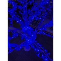 1.8m Blue Cherry Tree