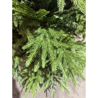 7 Foot Imperial Spruce Christmas Tree