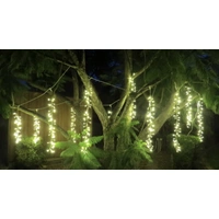 20M Warm White Firecracker Curtain -green wire 
