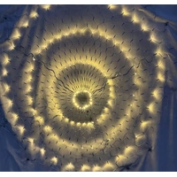 Round Warm White Net Light- 2m diameter