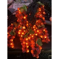 10M Red Grapes String Lights