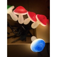 Set of 8 Coloured Mushrooms