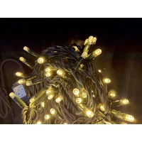 20M Warm White Waterproof Strings 