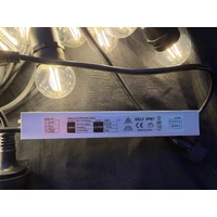 10M Warm White Festoon Strings-  24V
