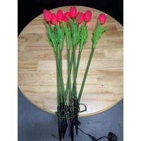 Set of 8 Pink Tulips