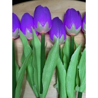 Set of 8 Purple Tulips 