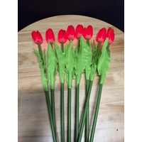 Set of 8 Red Tulips 