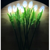Set of 8 White Tulips 