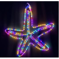 RGB Starfish Rope Light Motif 