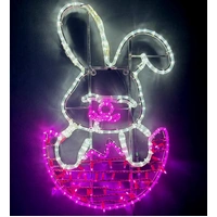 Rabbit in Easter Egg Rope Light Motif 
