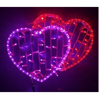 Two Hearts Rope Light Motif