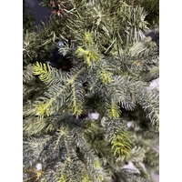 5 Foot Norway Spruce Christmas Tree