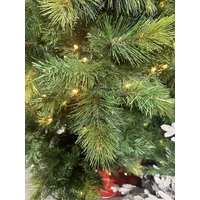 10 Foot Lit Oxford Spruce Christmas Tree - 900 Bulbs