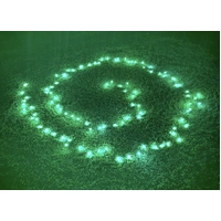 20M Intelligent Point Control RGB String