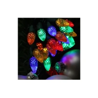 10m Multi Pine Cone String