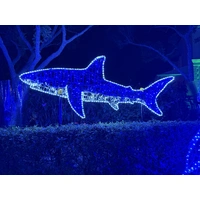 2025 Shark Rope Light Motif