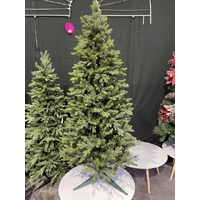 6 Foot Slender Blackford Fir Christmas Tree
