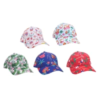 Baseball Cap 
