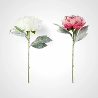54cm Snowy White Peony Stem - Avail October 2025