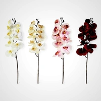 76cm White Orchid Stem A -Available October 2025
