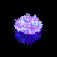19.9m Enchanted Frosted Ball String